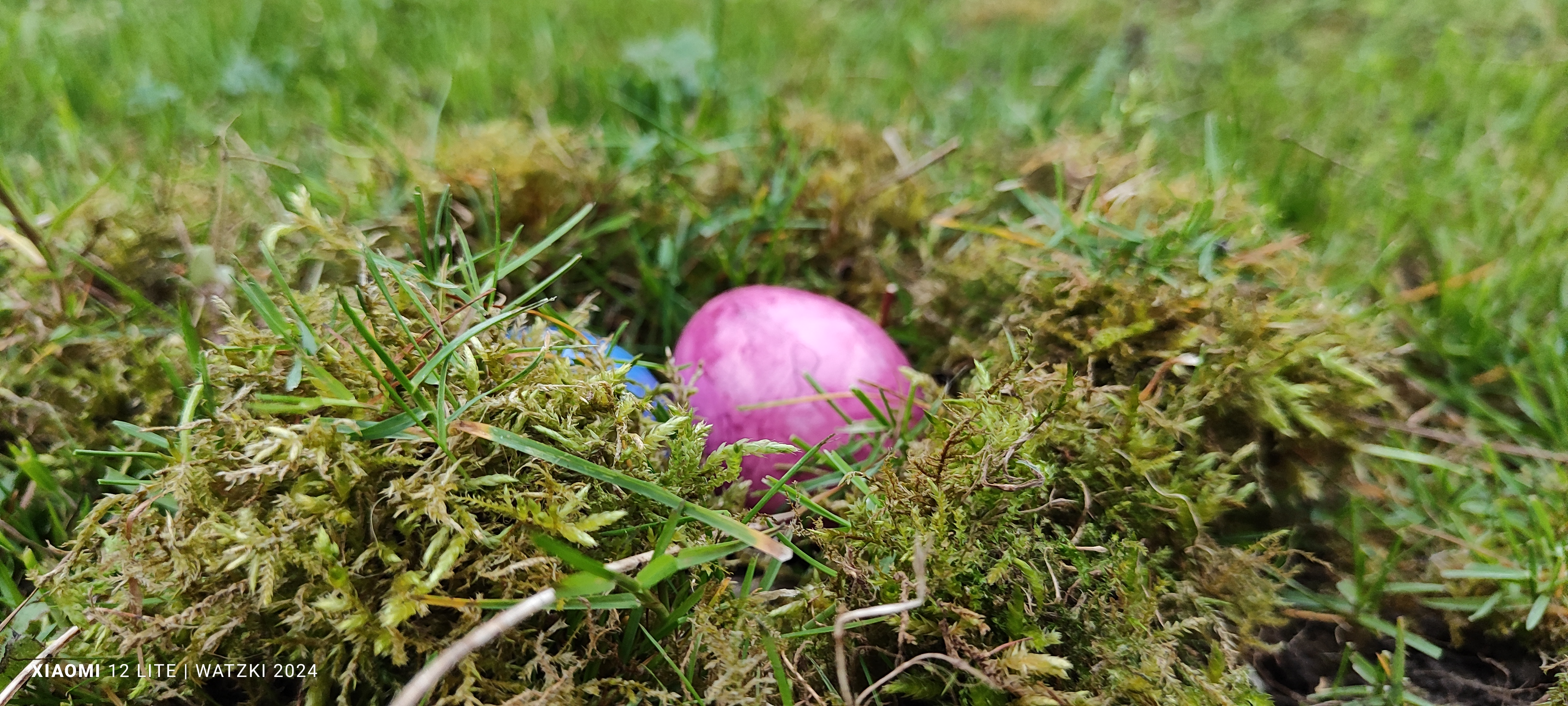 ./Eiersuche 2025/IMG_20250418_090549.jpg